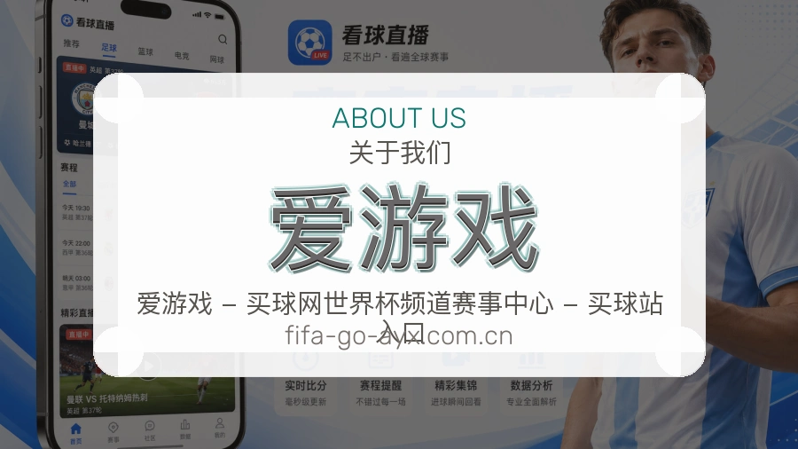爱游戏热门电竞服务说明